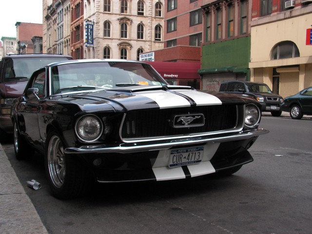 Mytique Mustang