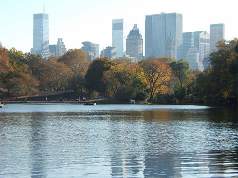 Central Park en Automne