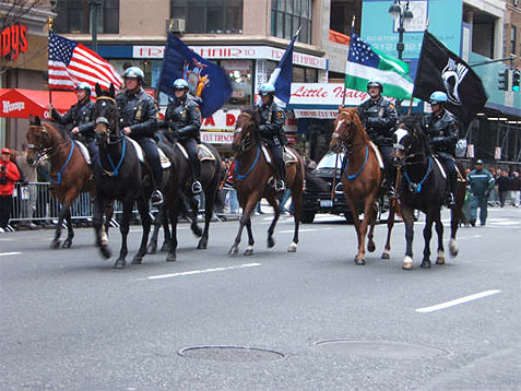 Veteran Day NYC