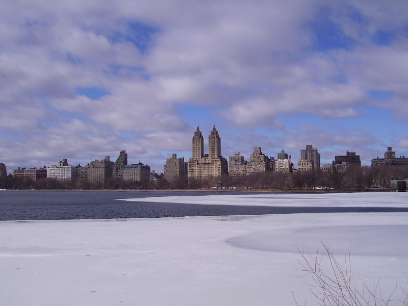 Central Park sous la neige