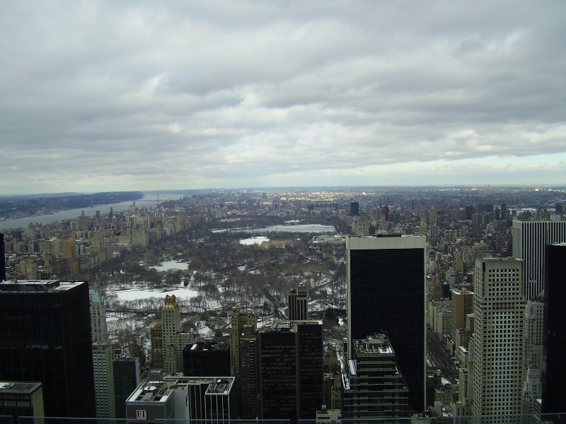 Central Park vu du top of the rock