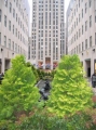 Promenade vers le Rockefeller Center