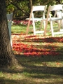 Tapis de ptales de roses pour un mariage  Central Park
