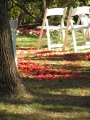 Tapis de pétales de roses pour un mariage à Central Park