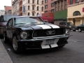 Mytique Mustang