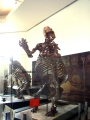 salut bonhomme (Museum d'Histoire Naturelle)