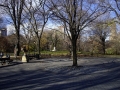 Central Park