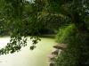 Central Park : The Pond