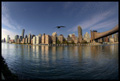 Manhattan from Roosevelt Island